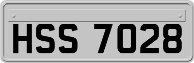HSS7028