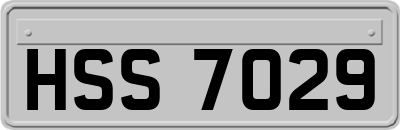 HSS7029