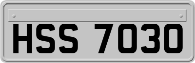 HSS7030