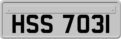 HSS7031