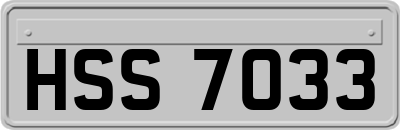 HSS7033