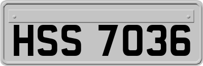 HSS7036