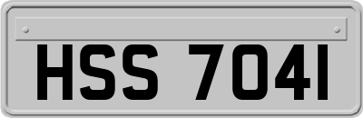 HSS7041