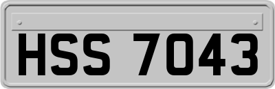HSS7043