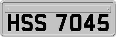HSS7045