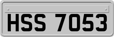 HSS7053