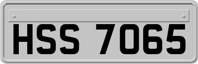 HSS7065