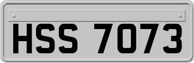 HSS7073