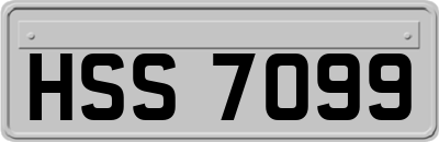 HSS7099