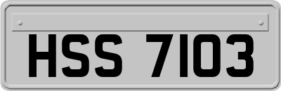 HSS7103