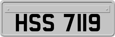 HSS7119