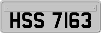 HSS7163
