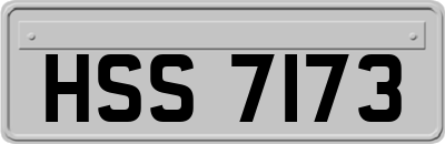 HSS7173