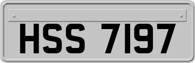 HSS7197