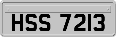 HSS7213