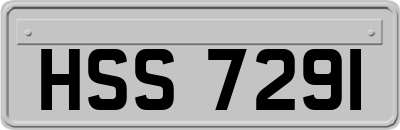 HSS7291