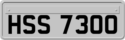 HSS7300