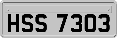 HSS7303