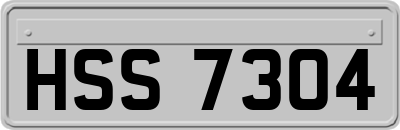 HSS7304