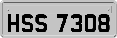 HSS7308