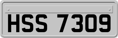 HSS7309