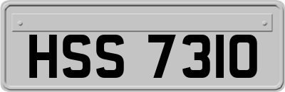 HSS7310