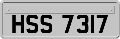 HSS7317