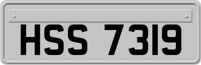 HSS7319