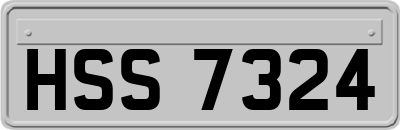 HSS7324