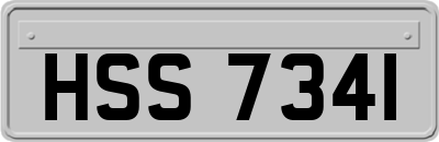 HSS7341