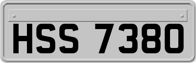 HSS7380