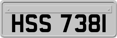 HSS7381