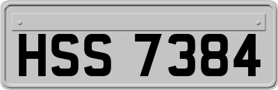 HSS7384