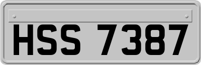 HSS7387