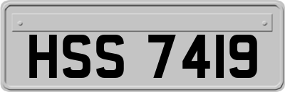 HSS7419