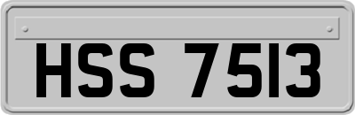 HSS7513