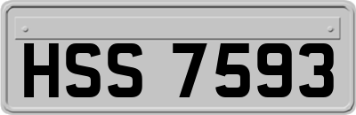 HSS7593
