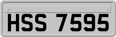 HSS7595