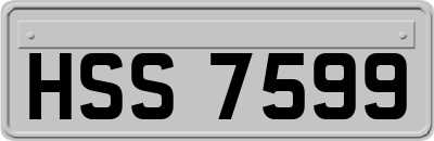 HSS7599