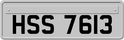 HSS7613