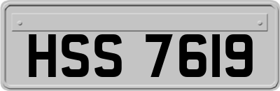 HSS7619