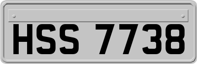 HSS7738