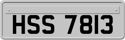 HSS7813