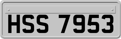 HSS7953