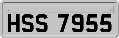 HSS7955