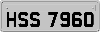 HSS7960