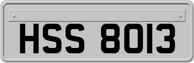 HSS8013