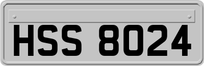 HSS8024