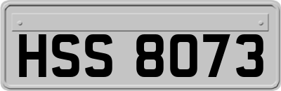 HSS8073