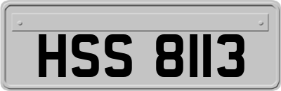 HSS8113